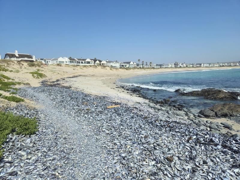 0 Bedroom Property for Sale in Lampiesbaai Western Cape